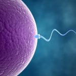 Indicators of a Male Fertility Issue
