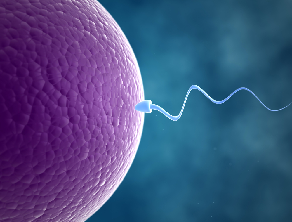 Indicators of a Male Fertility Issue